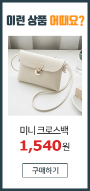 미니 크로스백