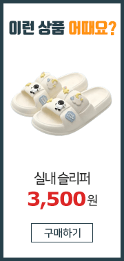 실내 슬리퍼