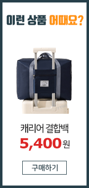 캐리어 결합백